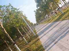 -贝林大翅鲸简餐厅(国家海洋博物馆店)