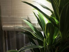 -钟太婆老妈蹄花(春熙路店)
