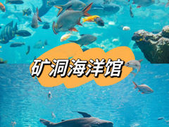 -长鹿旅游休博园