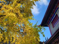 -南山风景名胜区