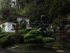 -南山植物园