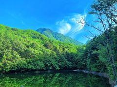 -洛阳白云山景区