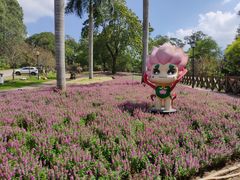 -广州市流溪河国家森林公园