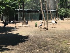 -哈尔滨北方森林动物园