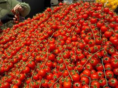 -永辉超市(郫都区爱琴海店)