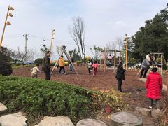 -铁山坪森林公园