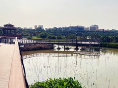-立新湖公园