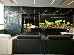 -马泷齿科·成都锦江置略马泷口腔门诊部(IFS国金中心店)