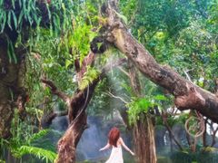 -Chom Cafe and Restaurant