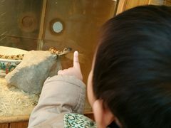 android_upload_pic-上海大自然野生昆虫馆