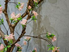 -卓花境Flowerwonderland花店