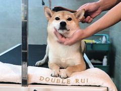 -Double Rui宠物酒店