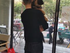 -瑞派康怡24h宠物医院·犬猫医疗中心·微创绝育(瑞景分院)