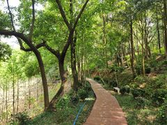 -广州市石门国家森林公园