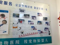 -全心全意连锁动物医院(加州店)