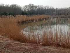 -大兴滨河森林公园