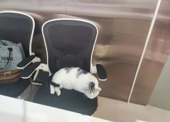 -CICI街舞专业培训
