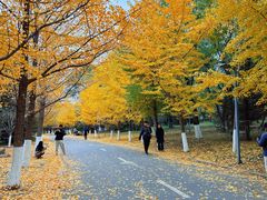 -长白岛森林公园