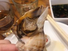 蒸海螺-海味当家(西安路店)