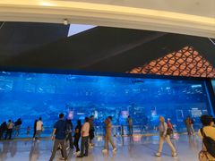 -迪拜水族馆及水下动物园