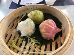 -点都德·毕德寮