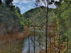 -广州市石门国家森林公园