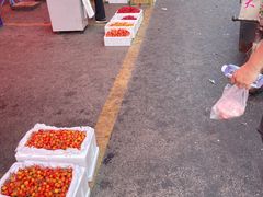 -堤口果品批发市场