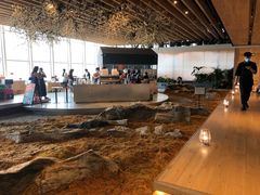 -Seesaw Coffee(朝阳大悦城店)