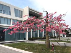 -星巴克(深圳前海企业公馆店)