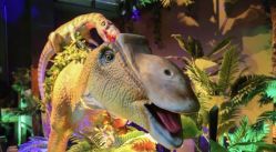 -恐龙探索乐园(磁器口店)