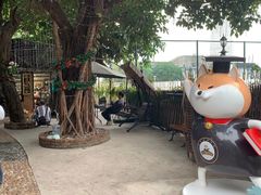 -柴犬高等学院·狗咖·柴犬售卖·宠物训练