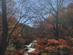 -本溪老边沟风景区