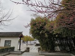 -程十发艺术馆