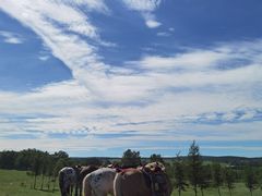 -塞罕坝国家级自然保护区