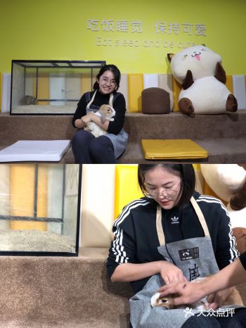 探店| 厦门首家小浣熊干脆面君