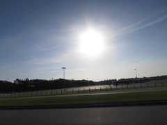 -奥兰多迪士尼动物王国乐园