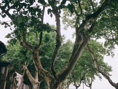 -苏堤停车场