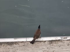 -南宁南湖公园