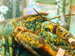 -有腥气私房菜·寻味顺德