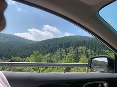 -武陵山森林公园