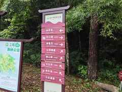 -广州白江湖森林公园