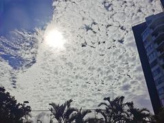-黄金海岸