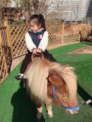 -萌宠亲子动物乐园(槐房万达店)