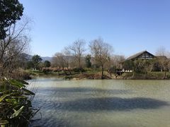 -长兴太湖图影湿地文化园