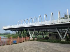 -大兴滨河森林公园