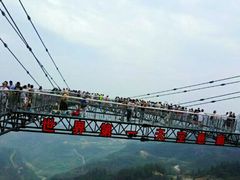 -梦幻奥陶纪景区