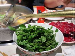 -汕头八合里海记牛肉店(清河店)