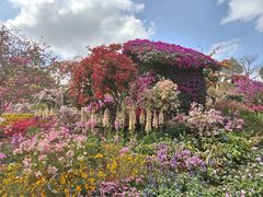 -东莞植物园