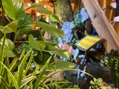 -多哥水傣味餐厅(司马巷店)