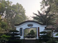 -南山植物园